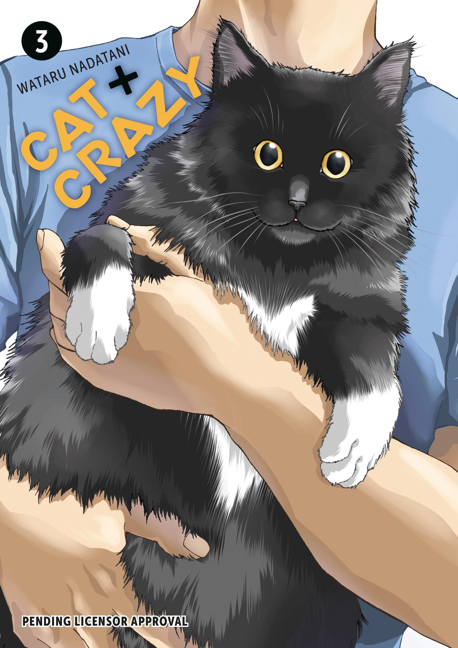 PREORDER Cat + Crazy Volume 3